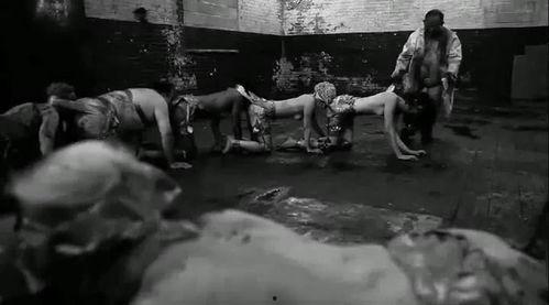 人体蜈蚣在线观看手机,惊悚悬疑,揭秘人体极限的恐怖之旅 第3张 人体蜈蚣在线观看手机,惊悚悬疑,揭秘人体极限的恐怖之旅 第3张